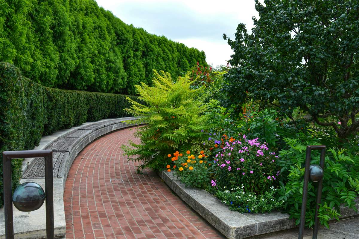 Luxury landscaped garden at dusk
