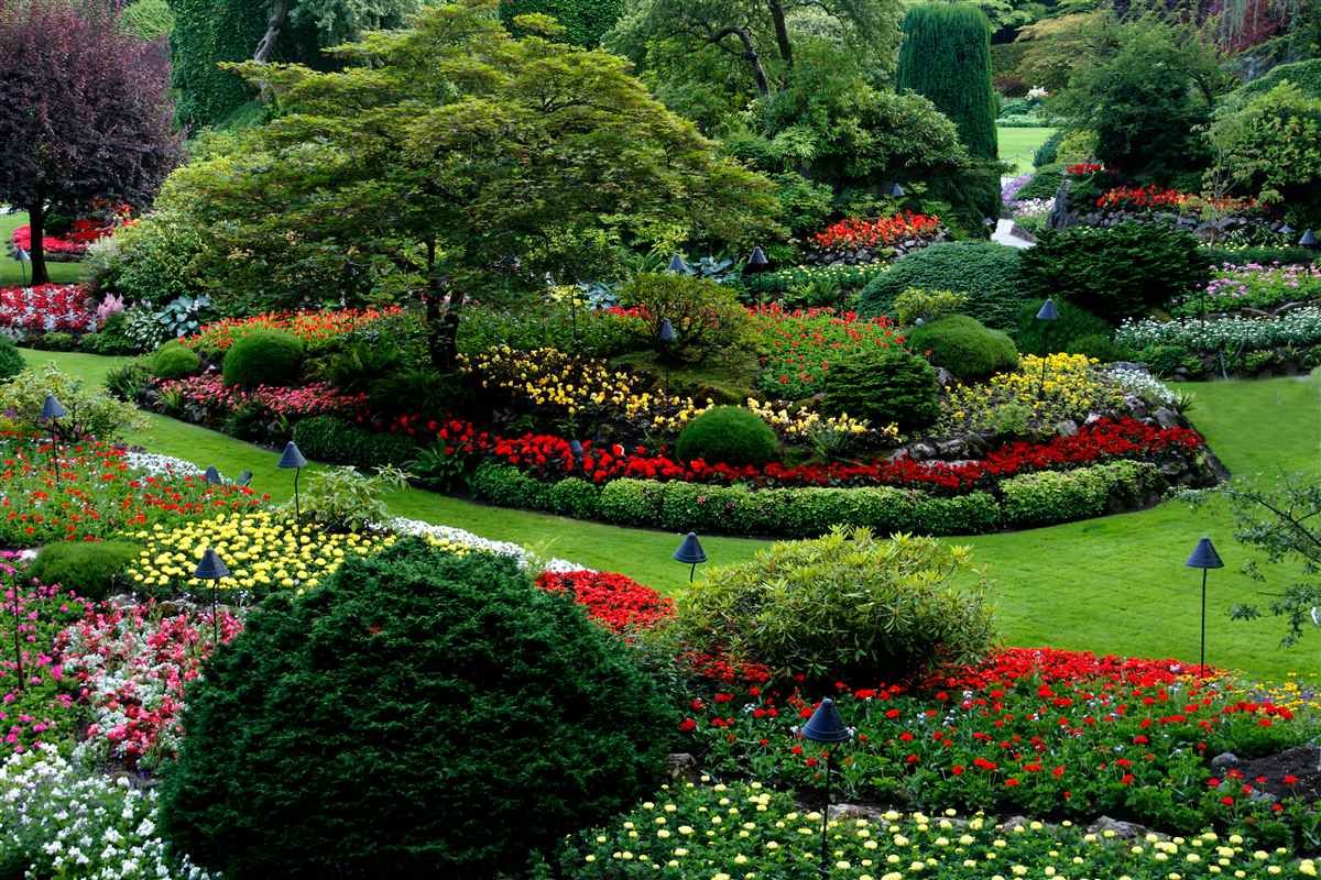 Landscaping in Kilmarnock by JM All Trades Ayrshire