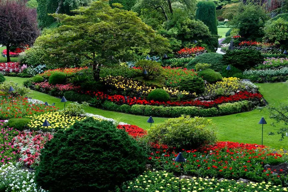 Full garden redesign in Kilmarnock