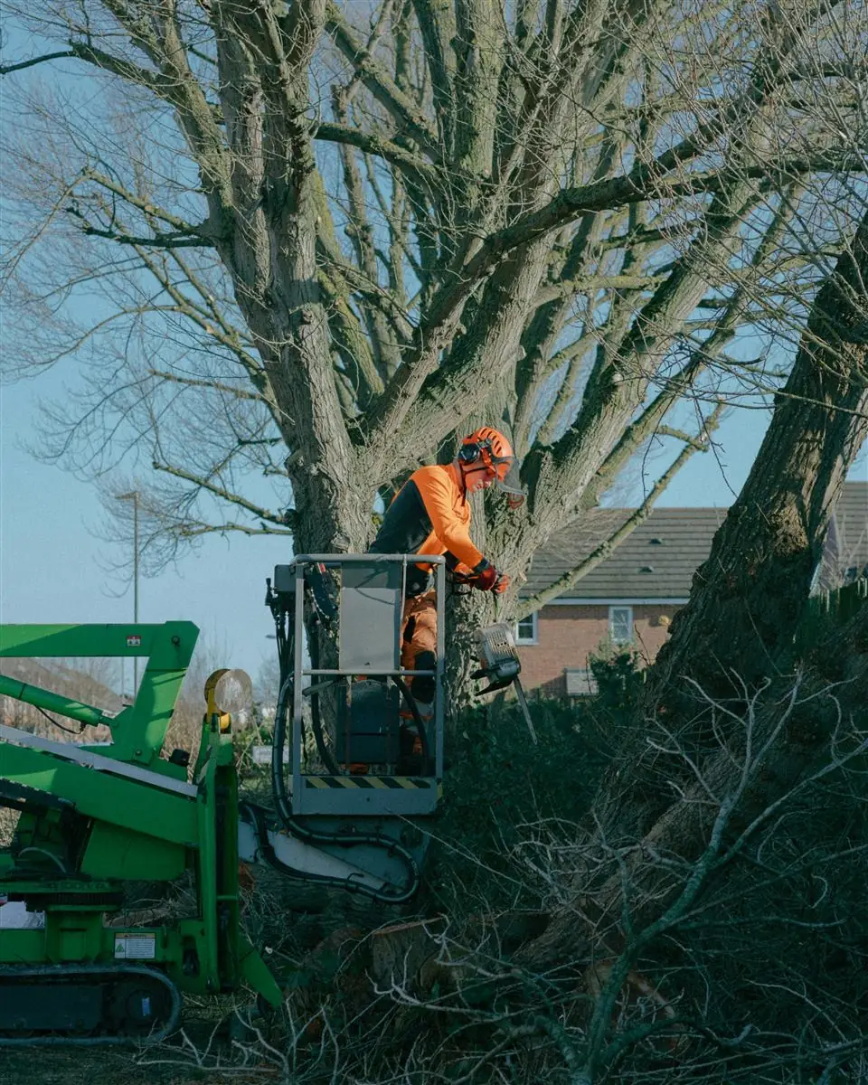 Storm damage clearance in Kilmarnock