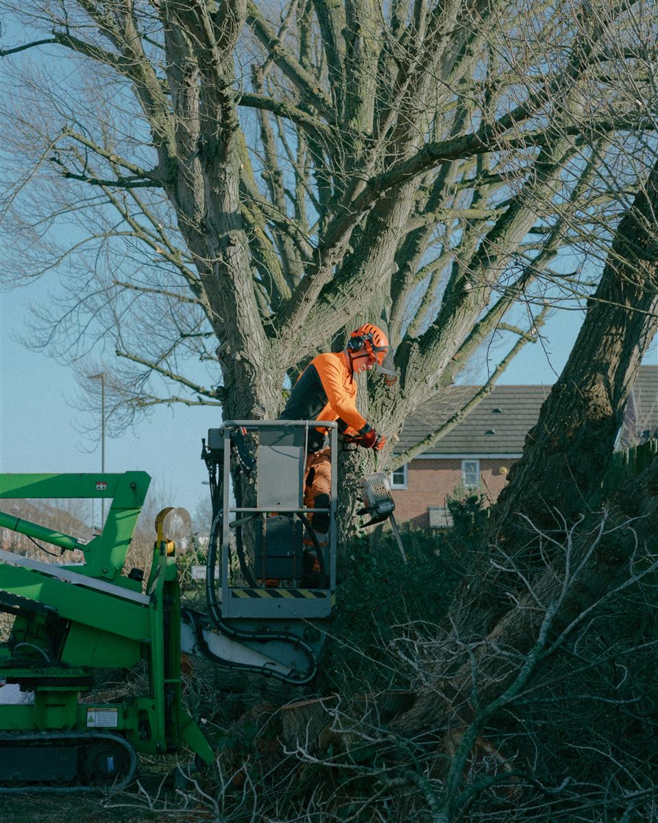 Storm damage clearance in Ayr